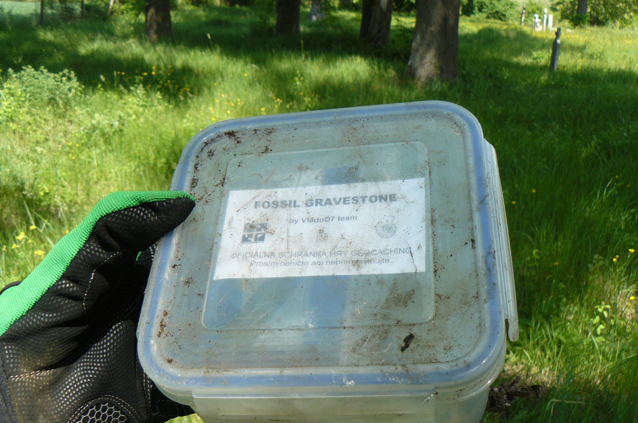 Schránka Fossil Gravestone